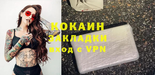 прущие грибы Абинск