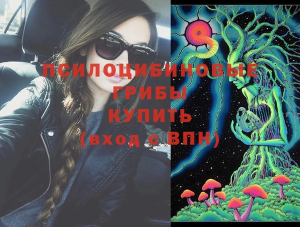 трава Абаза