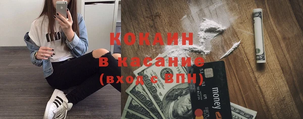 прущие грибы Абинск