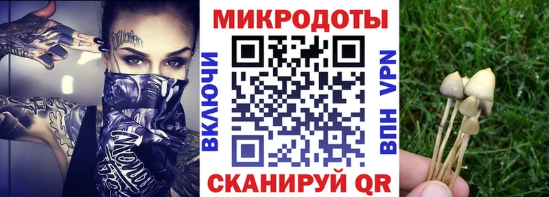 Галлюциногенные грибы мухоморы  Кизилюрт 